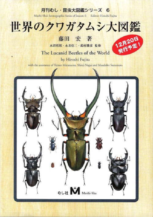 昆虫専門店ヘラクレス・ヘラクレスのホームページ Dynastes